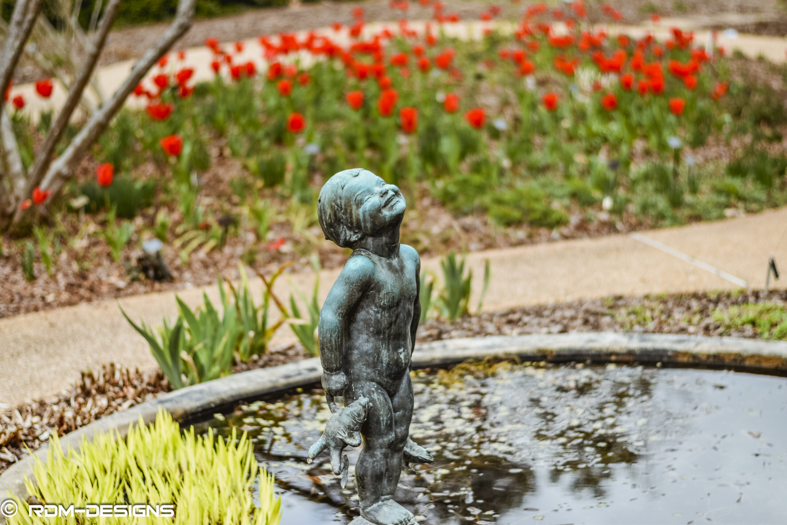 Atlanta — fine art landscape photography by RDM Designs